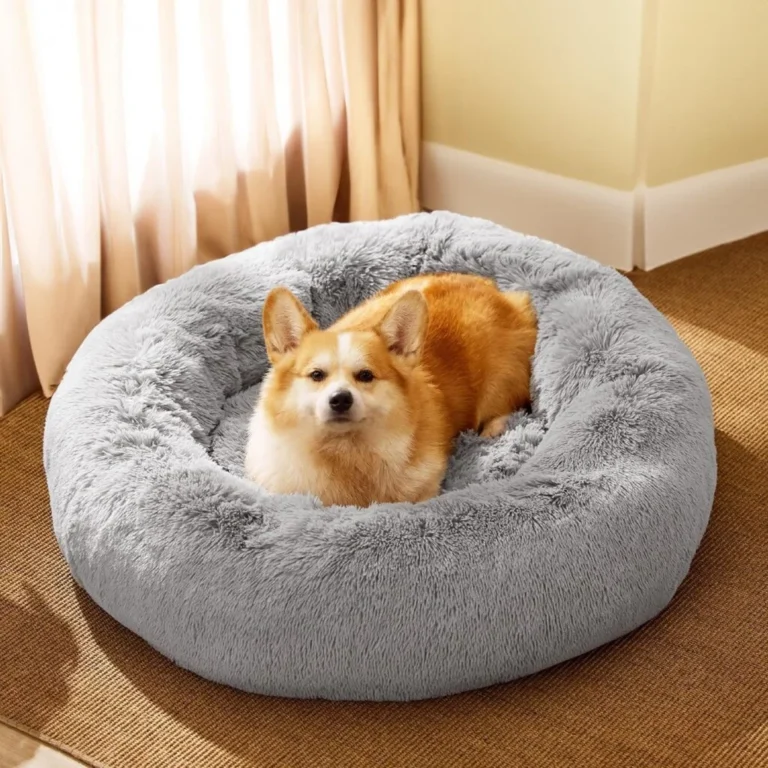 Best dog beds uk