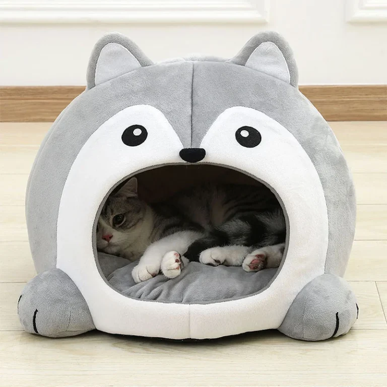 Cat bed