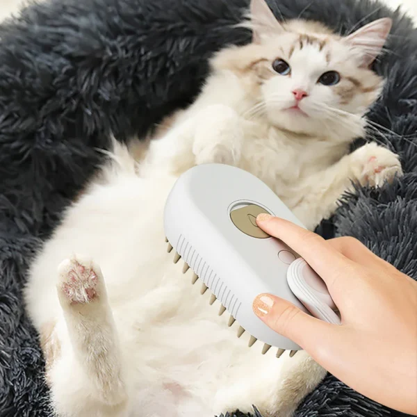 Cat grooming brush Cat grooming brush