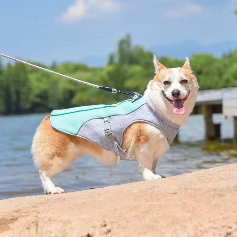 Dog cooling vest uk