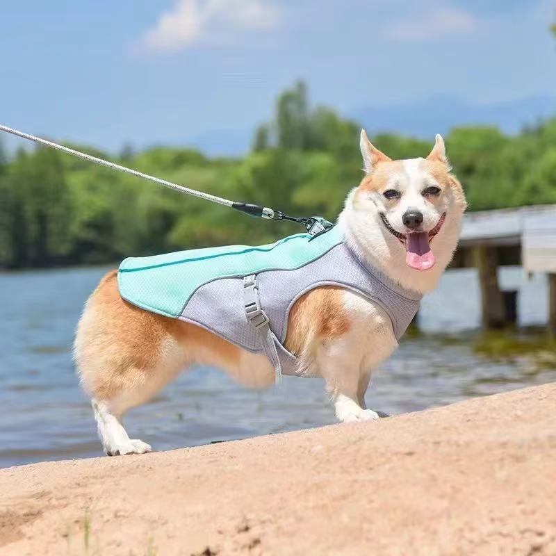 Dog cooling vest uk