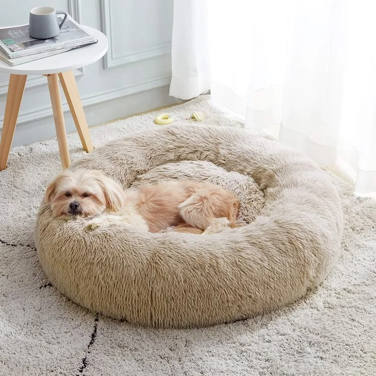 Donut dog bed
