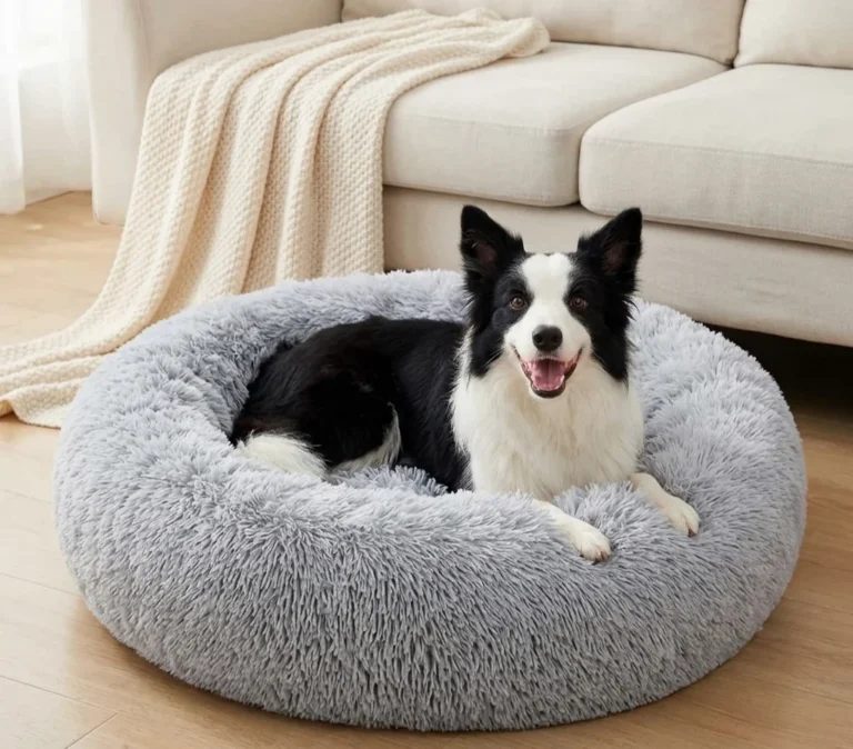 Donut dog bed