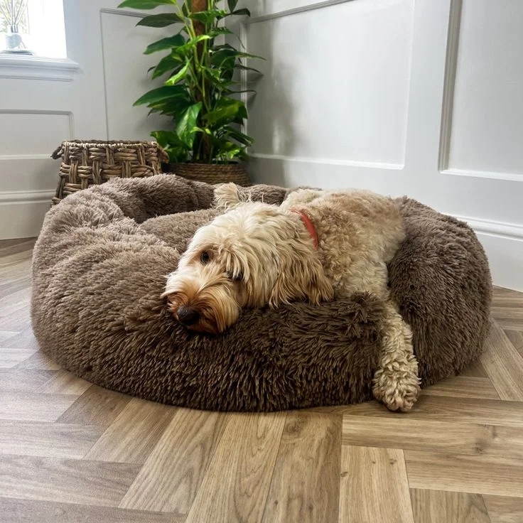 Donut dog bed with removable cover