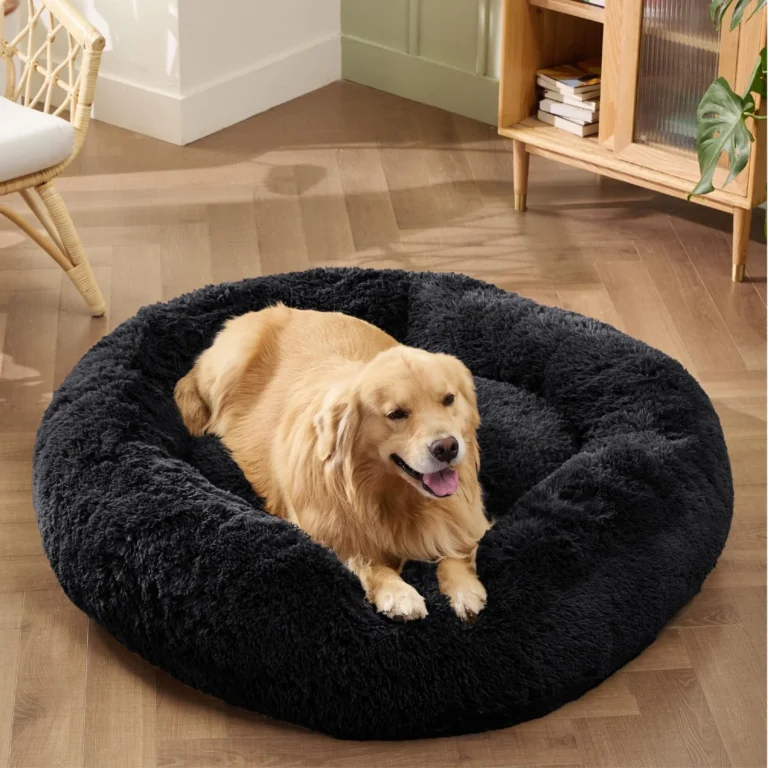 Luxury dog beds uk