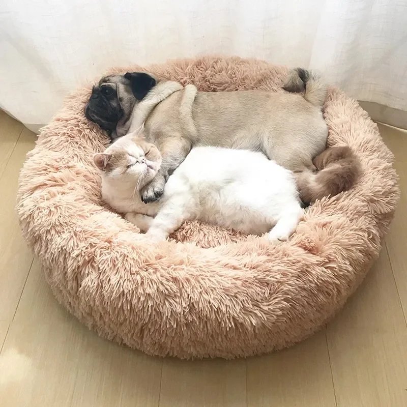 Orthopedic dog bed