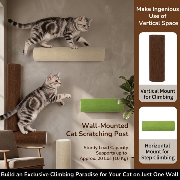 Cat Climbing Cylinder
