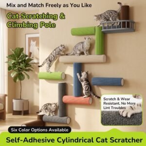 Cat Climbing Scratcher